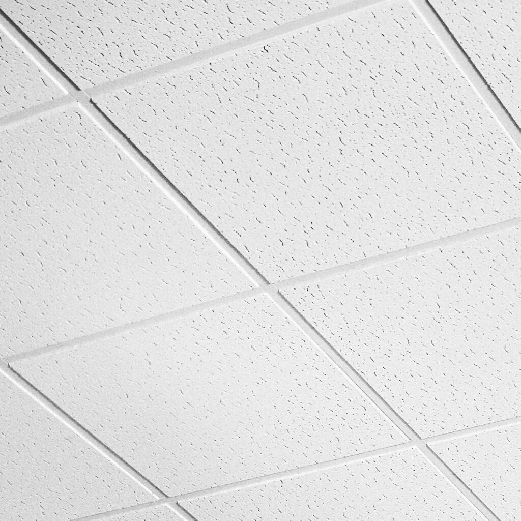 Suspended Acoustic Ceilings